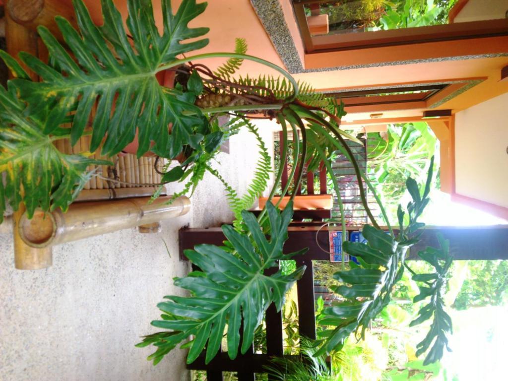 Inn On The Park Manuel Antonio Dış mekan fotoğraf
