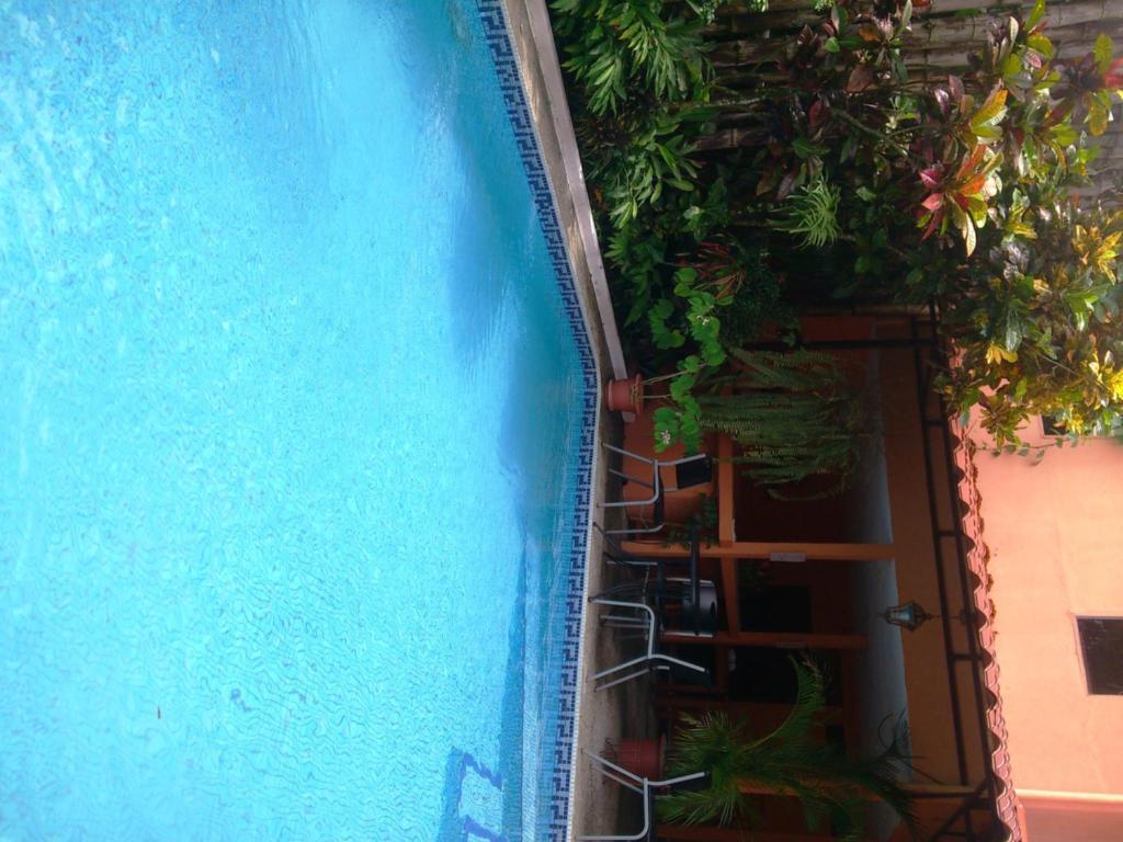 Inn On The Park Manuel Antonio Dış mekan fotoğraf